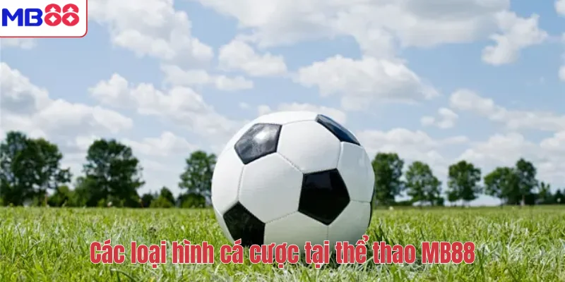 Các loại hình cá cược tại thể thao MB88